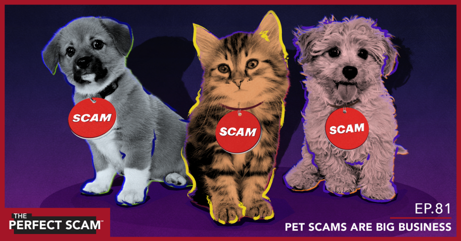Episode 81 - Pet Scams are Big Business - org