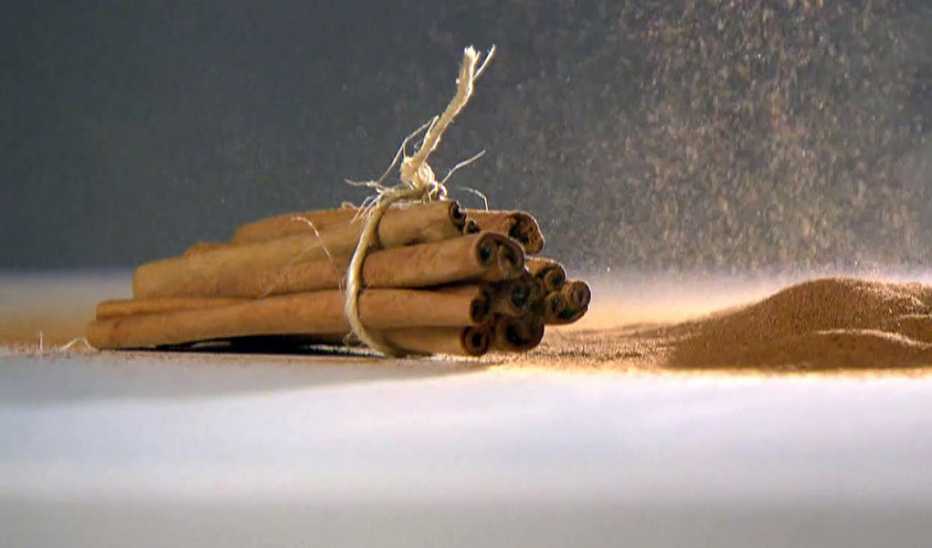 A bundle of cinnamon sticks