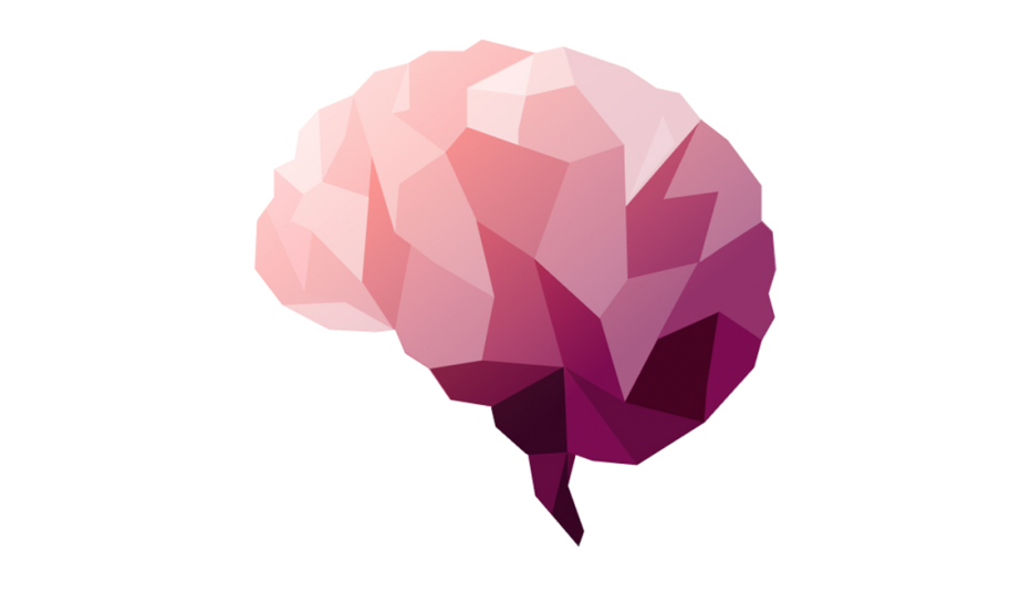 A pink brain palette